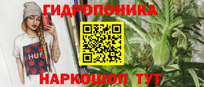 mdma Сланцы