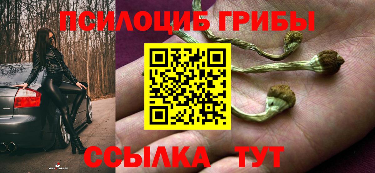 Псилоцибиновые грибы мицелий Новосибирск