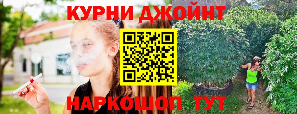 Конопля семена  Конопля MAZAR  Вход с VPN  Бошки Шишки тримм  Новосибирск 